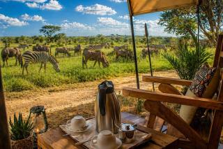 Africa Safari Serengeti Kogatende - 2