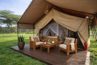 Africa Safari Serengeti Kogatende - 1