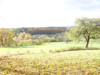 Ferienwohnungen Fischer - 1