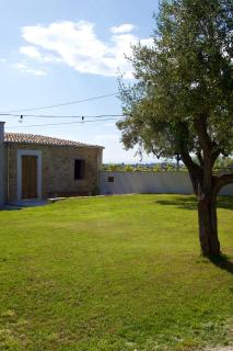 Villa Ersilia-Dimora tra vigne e ulivi - 9