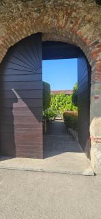 Il Sole Nel Lago - 7