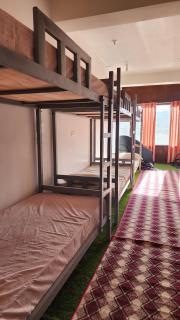 Hostel in Main market Tfq backpackers - 4