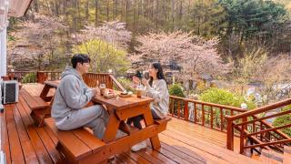 Gapyeong Hue 910 Pension - 4