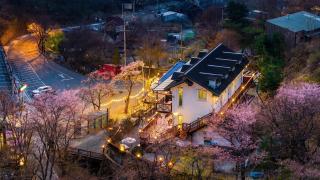 Gapyeong Hue 910 Pension - 2