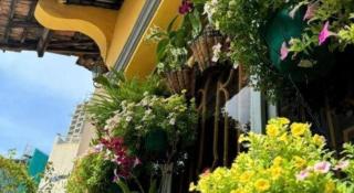 Son Tung Hotel - De Tham Street - 2