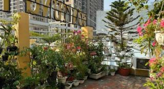Son Tung Hotel - De Tham Street - 7