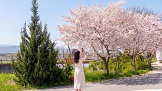 Gangneung Good Camping Caravan Pension - 4