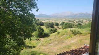 Dionysus House - 8