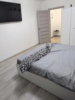 Apartmán v blízkosti Staromêstského námêstí a Karlova mostu - 0