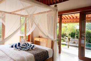 villa Purana - 6
