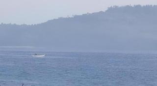 Anahaw Island View Resort - 7