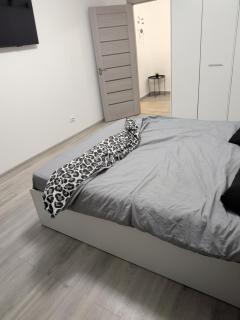 Apartmán v blízkosti Staromêstského námêstí a Karlova mostu - 1