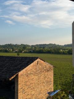 Tenuta Malvolti - Al Vecchio Convento - 6