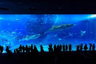 最大10名平家一棟貸切BBQ駐車場3台完備美ら海水族館古宇利島観光におすすめChura Terrace Nakijin - 9