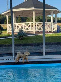 Jagodowy Ski&Spa pensjonat z widokiem na góry,podgrzewany basen zewnętrzny latem,bilard,świetne Wi-Fi,Restauracja,balia,sauna na miejscu - 8