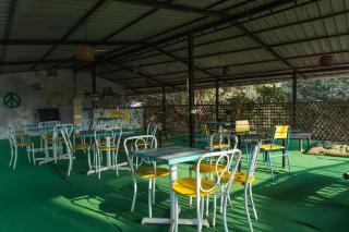 Tribo Roots Hostel - 3