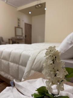 Stay Inn New Cairo - 8