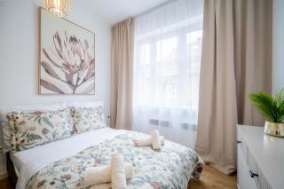 Cute Corner Studio in Centrum - 0