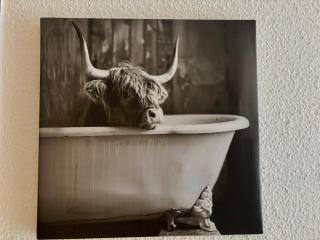 Der Highlander - 6
