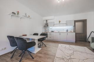 Velké studio na Velkém náměstí s vybavenou kuchyní - 7