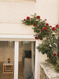 Cozy 1 bedroom apartment with garden - breakfast included - 5