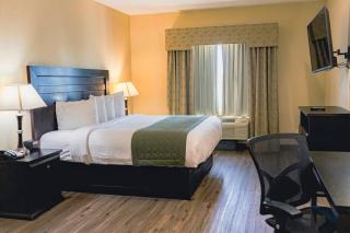 Grander Inn & Suites by IHG - 9