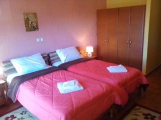 Hotel Aoos - Konitsa - 5