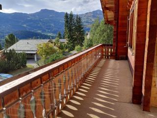 Gemütliche 3 Zimmer Wohnung in Lenzerheide - 7