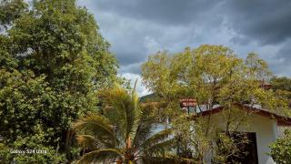 Nature View Villa - 9
