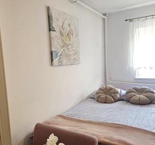 Mosty Home - 1