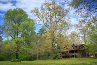 Tiffany's Bed and Breakfast - Bismarck - 1
