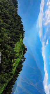 Mountain View Himalayan Homestay Karsog - 2