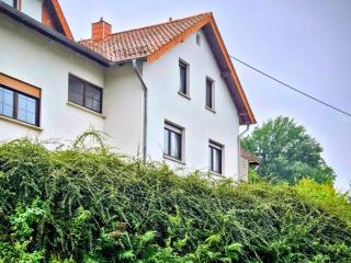 Ferienwohnung Schwarzhof- Hahnekräh am Bostalsee, helle 75 qm & hundefreundlich - 1