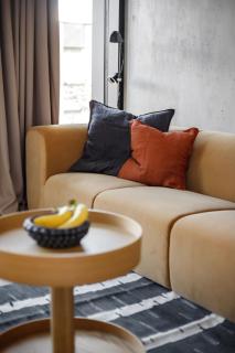 Exclusive Designer Apartment in Paupys - 8