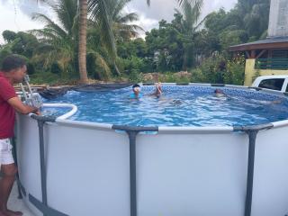 Hibiscus holiday - 4