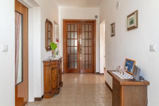 L'olivo di Piero - Capannori - 4