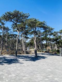 Pine House - 4