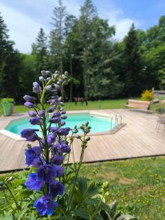 Limousin, Saint Vitte sur Briance Vacances au Verger de Nova -  - 5