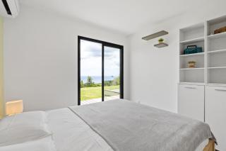 White Dream - 1