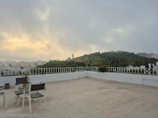 Modern apartment with a panoramic terrace - 6