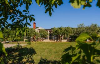 Villa Bazilika - 5