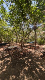 Jamjir Retreat Farm House - 3