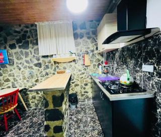ბორჯომი საოჯახო სასტუმრო "გიომანი" Borjomi Guest House "GioMaNi" დასვენება ბორჯომში "GioMaNi" - 8
