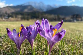Radisson Blu Hotel & Residences Zakopane - 8