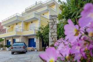 Sunny Holiday - 3