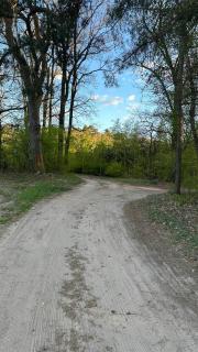 Leśny Domek nad jeziorem Budziszewskim Grzybowo wielkopolska - 1