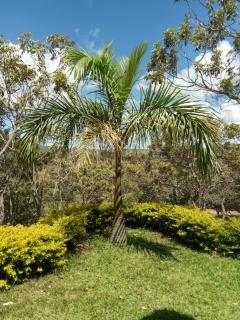 Fazenda Rosmaninho - 4