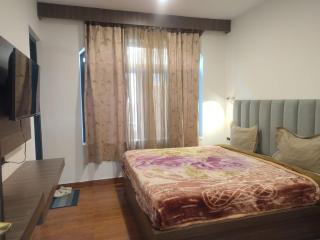 ladakhi house - 2