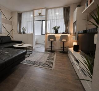 Ninche's Penthouse - free private parking - 2