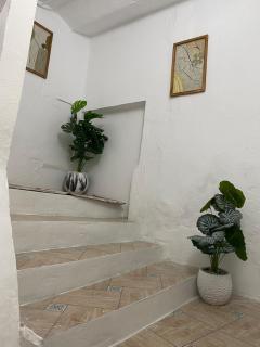 Cozy Apartment in the Médina of tunis - 4